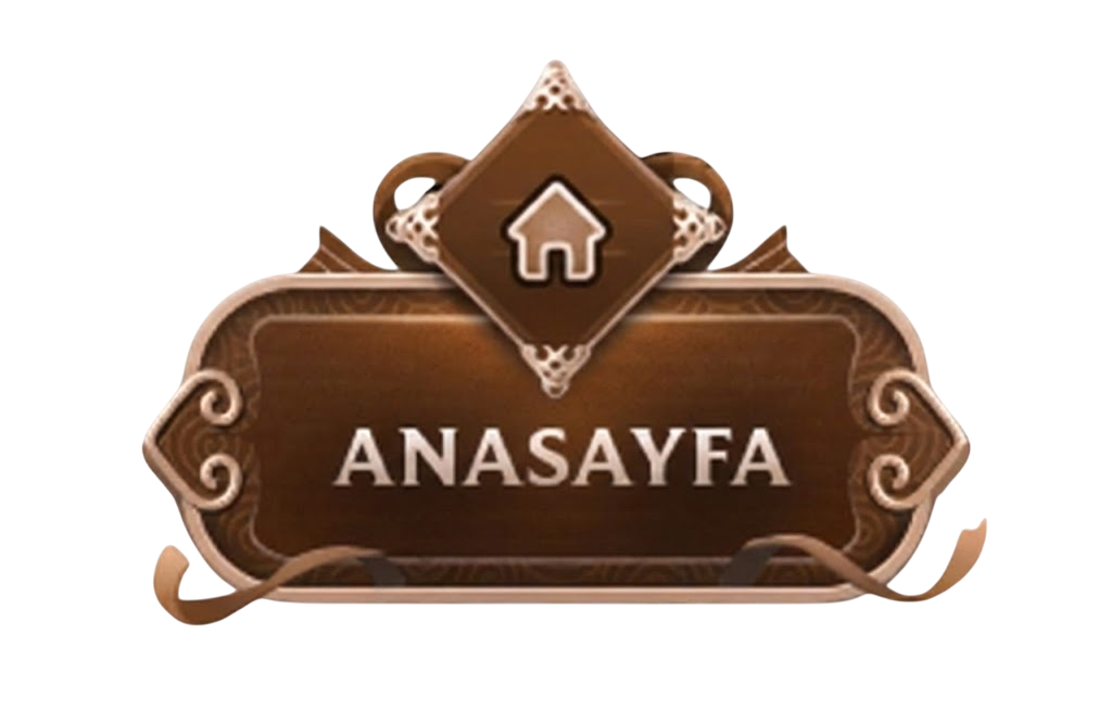 Anasayfa